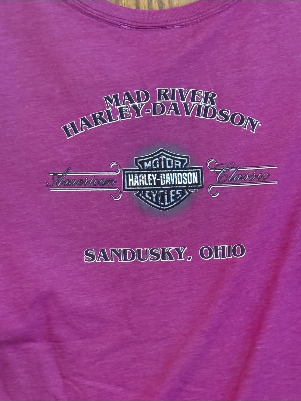 Harley-Davidson Mad River Sandusky Ohio Purple Graphic Tee Size M - Picture 6 of 8